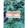 220 cigaretove papirky raw