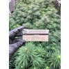 Cigaretove papirky Skunk Brand KS slim