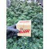 Zapalna snura RAW 76m (2)