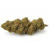 nejlepsi cbd konopi