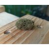 cbd konopi amnesia