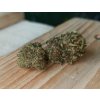 cbd marihuana kvety