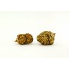 cbd konopi amnesia marihuana weed