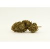 cbd konopi golden strawberry weed
