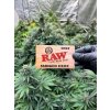 Samolepka RAW Smoked here