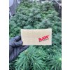 Pouzdro na tabak RAW (2)