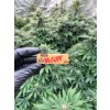 Papirky RAW Single Wide (2)