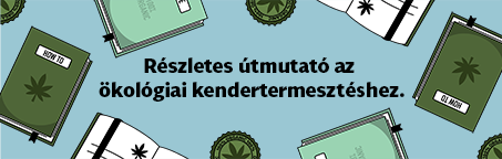 Részletes útmutató az ökológiai kendertermesztéshez