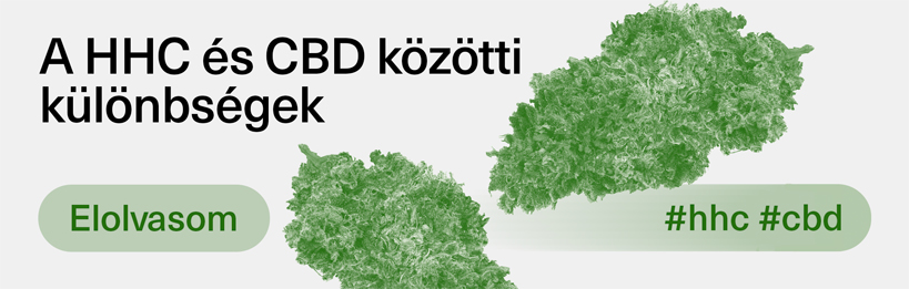 A kannabinoidok közötti különbségek: HHC vs. CBD