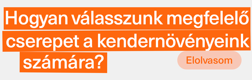 Hogyan válasszunk megfelelő cserepet a kendernövényeink számára?