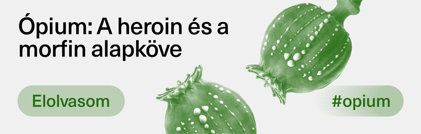 Ópium – a heroin és a morfin alapköve