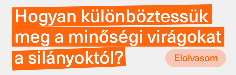 Hogyan lehet megkülönböztetni a minőségi tobozokat a rossz minőségűektől?