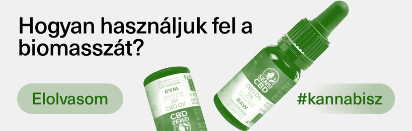 Hogyan használható fel a kannabisz biomassza?