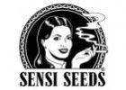 Sensi seeds