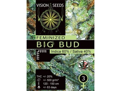 big bud vision seeds seminka konopi