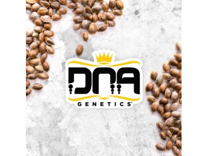 dna genetics mix pack regular