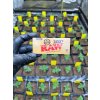 Cigaretove papirky RAW KS 200 ks (2)
