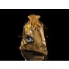 shine gold box pytel