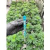 G tube Amsterdam Picnic Blue joint