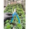 MasterSnip Heavy Duty kerti ollo