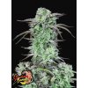 strawberry banana auto fast buds seed bank happyseeds