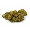 slothzilla cbd konopi