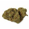 cbd marihuana weedshop
