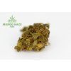 cbd konopi mango haze kvety