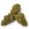 CBD kannabiszi grapefruit og