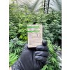 CBD kristaly 93% a Happy seeds tol (1)