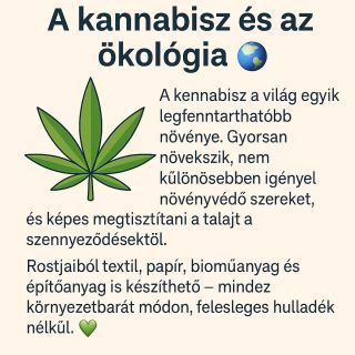 🌿 A kan*abisz és a környezetvédelem 🌍 A kan*abisz az egyik legfenntarthatóbb növény. Gyorsan növekszik, kevés növényvédő...