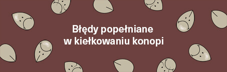 Błędy popełniane w kiełkowaniu konopi