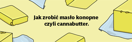 Jak zrobić masło konopne czyli cannabutter w warunkach domowych.