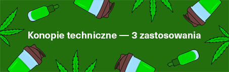Konopie techniczne - 3 zastosowania