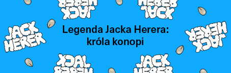 Legenda Jacka Herera: króla konopi