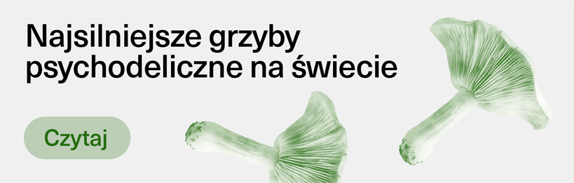 Najsilniejsze grzyby psychodeliczne na świecie