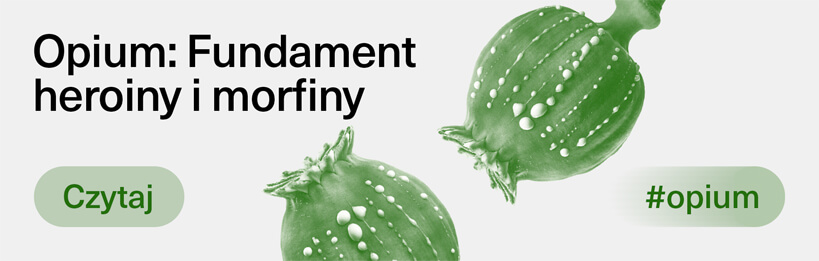 Opium - fundament heroiny i morfiny