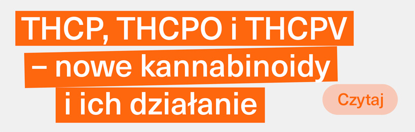 THCP, THCPO i THCPV – nowe kannabinoidy i ich działanie