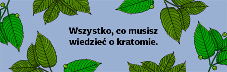 Wszystko, co musisz wiedzieć o kratomie: Pochodzenie, efekty i bezpieczne stosowanie