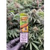 Ochucene Blunty Juicy 2 ks Eldorado