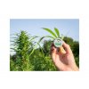 konopna mast s cbd mala