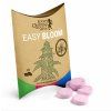 easy bloom hnojivo