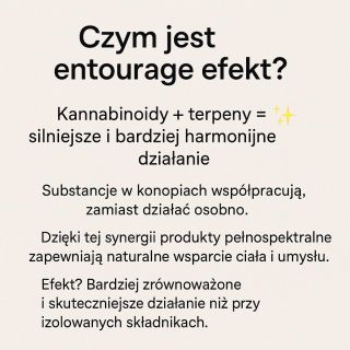 🌿✨ Efekt entourage oznacza, że naturalne składniki kon*pi działają najlepiej razem 🤝💚 Ka*nabinoidy i terpeny wzajemnie się...