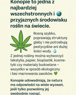 🌿 Kon*pie a ekologia – roślina przyszłości 🌍 Kon*pie to jedna z najbardziej wszechstronnych i przyjaznych środowisku...