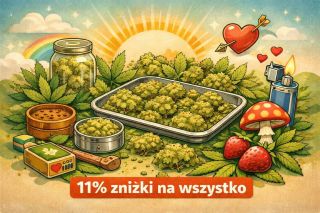 🌿 Nie przegap tej okazji! 🌿 Teraz 11% zniżki na cały asortyment w naszym e-sklepie. Użyj kodu rabatowego IG11 i ciesz się...