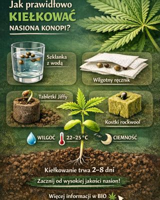 Prawidłowe kiełkowanie nasion kon•pi jest podstawą zdrowej rośliny. 🌱 Kluczowe są odpowiednia wilgotność, temperatura...