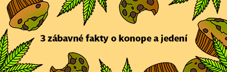 3 zábavné fakty o konope a jedení