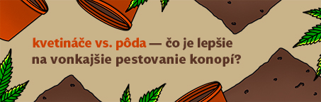 Kvetináče vs. pôda, čo je lepšie na vonkajšie pestovanie konopí?