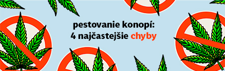 Pestovanie konopí: 4 najčastejšie chyby, ktorých sa možno dopúšťate