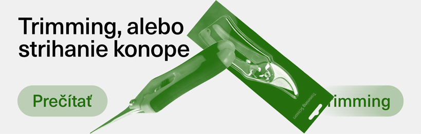 Trimming, alebo strihanie konope - dva základné spôsoby strihania listov